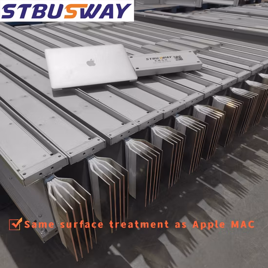 Bus Duct 50Hz/60Hz IEC61439 IP66 Bimetal